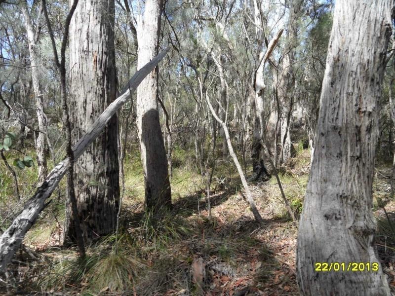 118 Stalling Lane, GLEN APLIN, Stanthorpe QLD 4380