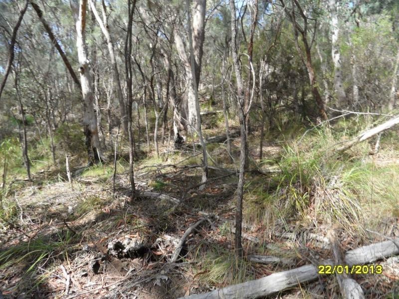 118 Stalling Lane, GLEN APLIN, Stanthorpe QLD 4380