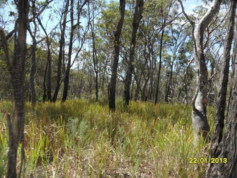 118 Stalling Lane, GLEN APLIN, Stanthorpe QLD 4380