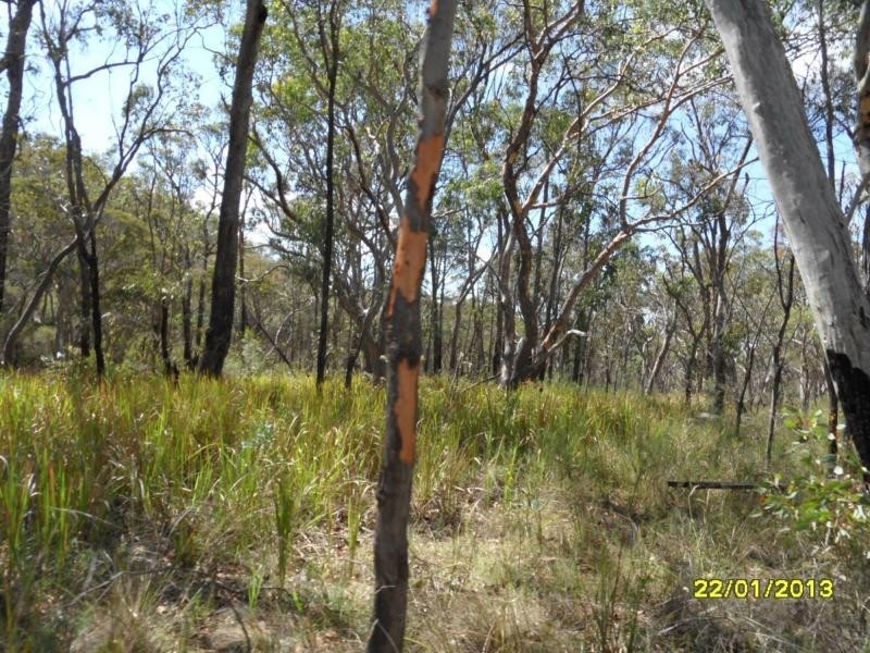 118 Stalling Lane, GLEN APLIN, Stanthorpe QLD 4380