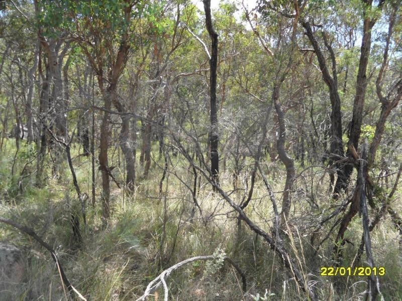 118 Stalling Lane, GLEN APLIN, Stanthorpe QLD 4380