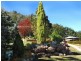 60 Zambelli Road, Stanthorpe QLD 4380