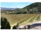 60 Zambelli Road, Stanthorpe QLD 4380
