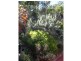 60 Zambelli Road, Stanthorpe QLD 4380