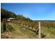 60 Zambelli Road, Stanthorpe QLD 4380