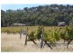 60 Zambelli Road, Stanthorpe QLD 4380