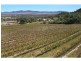 60 Zambelli Road, Stanthorpe QLD 4380