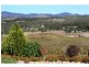 60 Zambelli Road, Stanthorpe QLD 4380