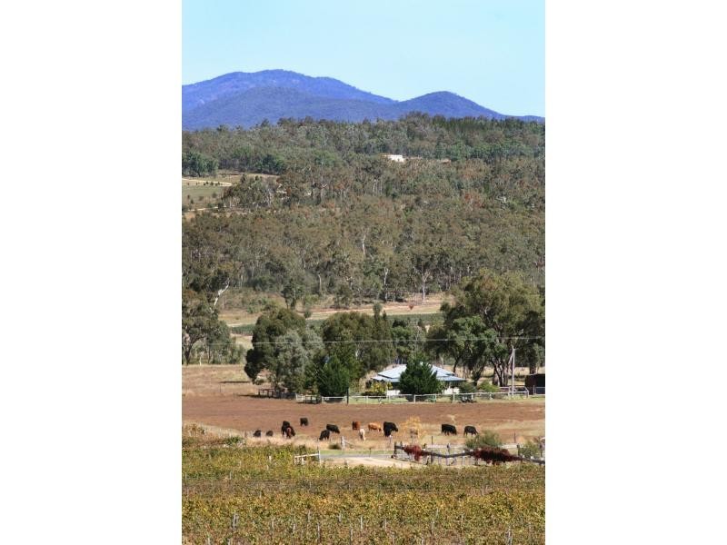 60 Zambelli Road, Stanthorpe QLD 4380