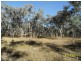 L2 Rabbit Fence Road, Pozieres, Pozieres QLD 4352