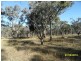 L2 Rabbit Fence Road, Pozieres, Pozieres QLD 4352