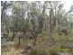 130 Browns Lane, Stanthorpe, Stanthorpe QLD 4380