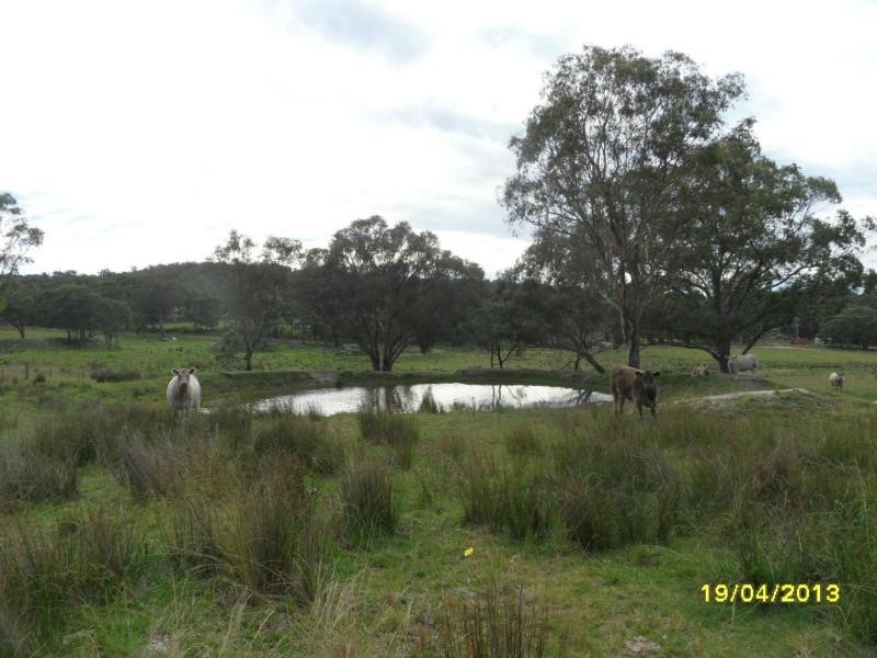 Stanthorpe QLD 4380