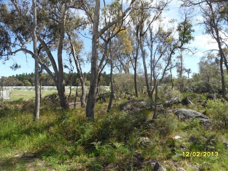 Stanthorpe QLD 4380