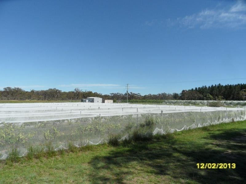Stanthorpe QLD 4380