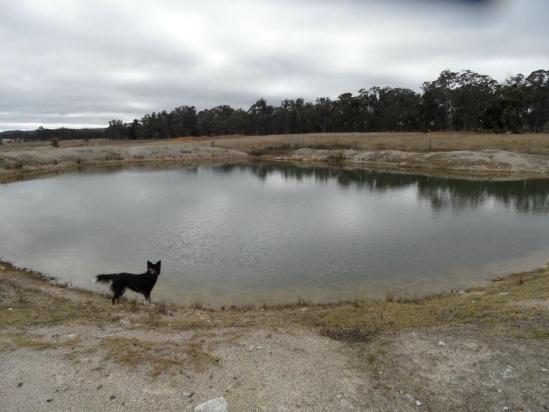 Stanthorpe QLD 4380