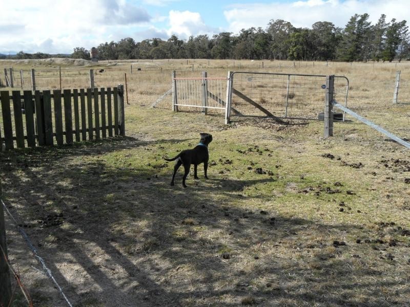 Stanthorpe QLD 4380