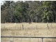 Stanthorpe QLD 4380
