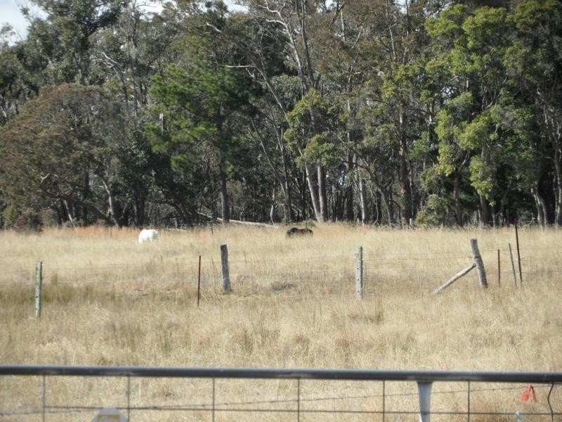 Stanthorpe QLD 4380