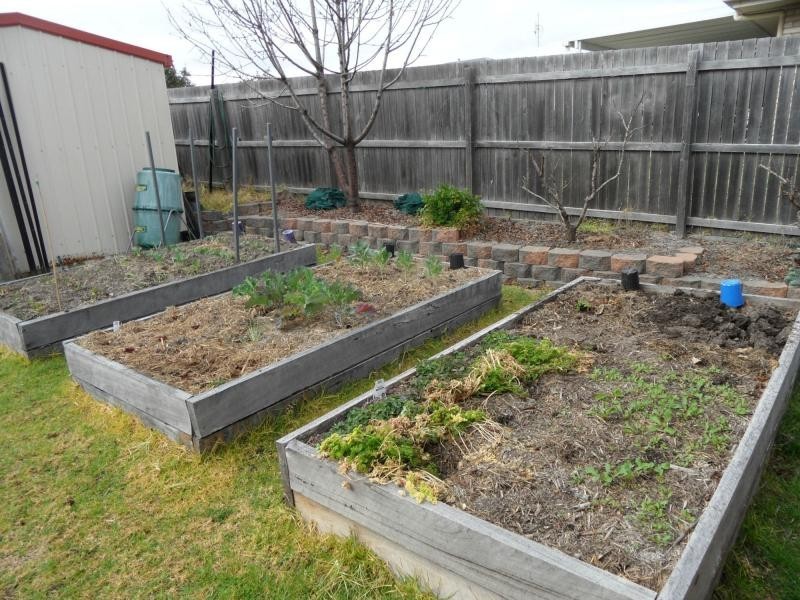 31 Britannia Street, Stanthorpe QLD 4380