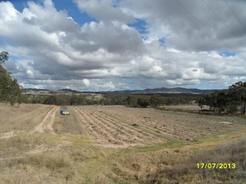 108 Zambelli Road, Ballandean, Stanthorpe QLD 4380