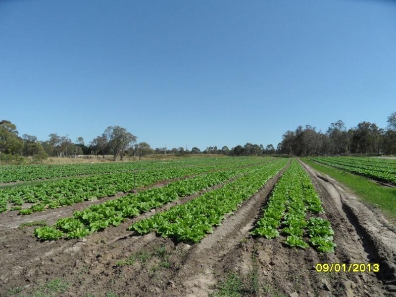 The Summit QLD 4377