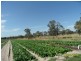 The Summit QLD 4377