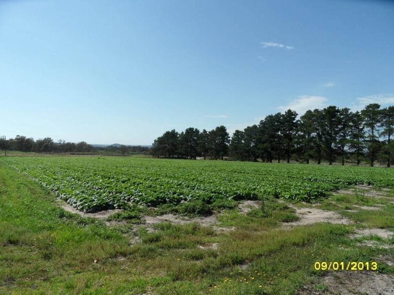 Stanthorpe QLD 4380