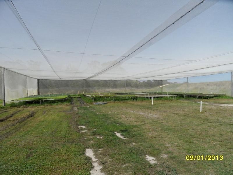 Stanthorpe QLD 4380