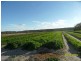 100 ELLWOOD Road, APPLETHORPE, Stanthorpe QLD 4380