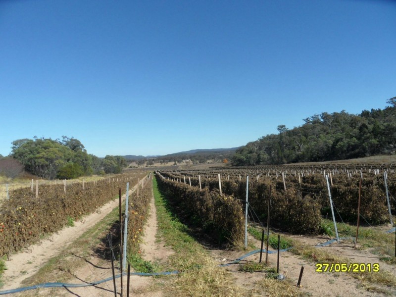 Glen Aplin QLD 4381