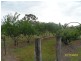 Stanthorpe QLD 4380
