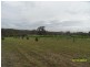 Stanthorpe QLD 4380