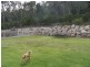 31 Moss Court, Stanthorpe QLD 4380