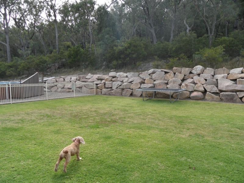 31 Moss Court, Stanthorpe QLD 4380