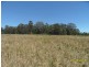 Stanthorpe QLD 4380