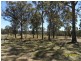 Stanthorpe QLD 4380
