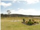 Liston NSW 2372