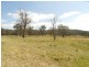 Liston NSW 2372