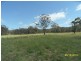 Liston NSW 2372