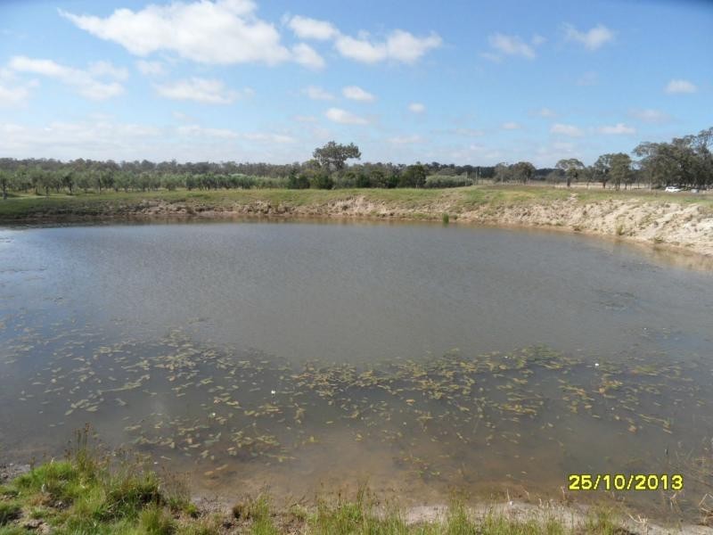 Liston NSW 2372