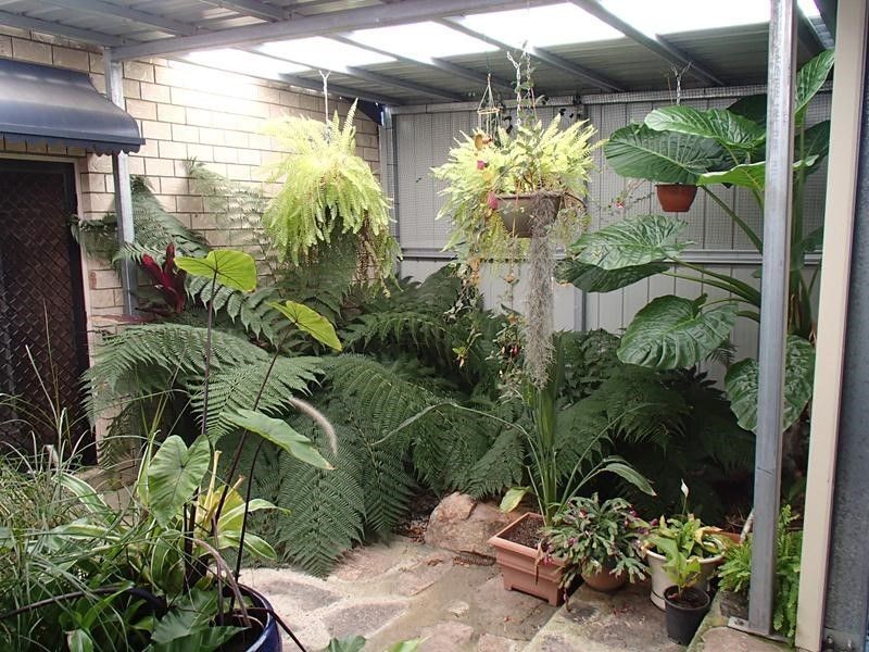Liston NSW 2372