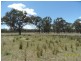 20 Ellerington Lane, Stanthorpe, Stanthorpe QLD 4380