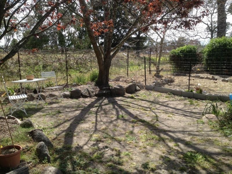 8 Roessler Avenue, Applethorpe, Stanthorpe QLD 4380
