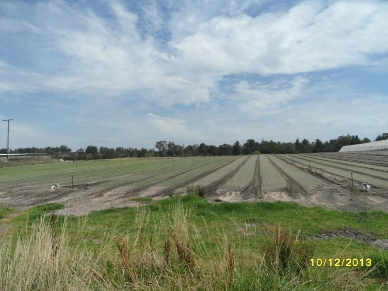 10 Bertinazzi Lane, Pozieres, Stanthorpe QLD 4380