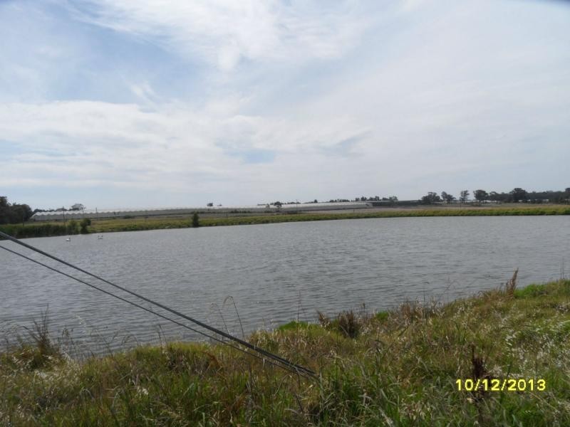 10 Bertinazzi Lane, Pozieres, Stanthorpe QLD 4380