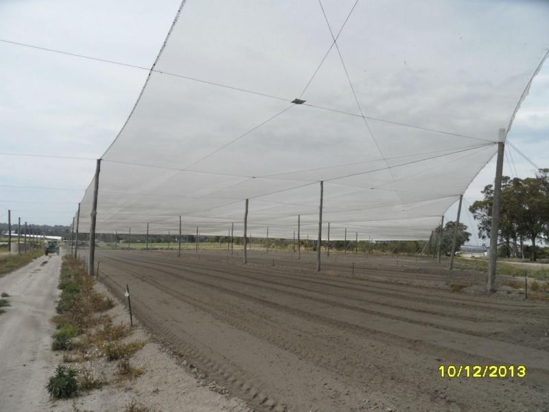 10 Bertinazzi Lane, Pozieres, Stanthorpe QLD 4380