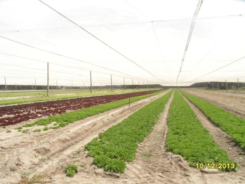 44 Andreatta Lane, Pozieres, Stanthorpe QLD 4380