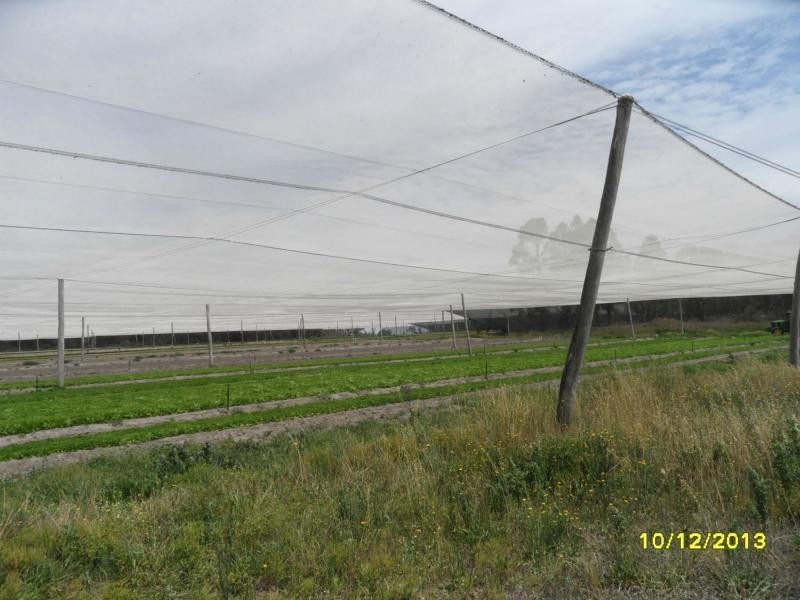 44 Andreatta Lane, Pozieres, Stanthorpe QLD 4380