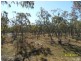 L422 Dalcouth Road, Stanthorpe, Stanthorpe QLD 4380